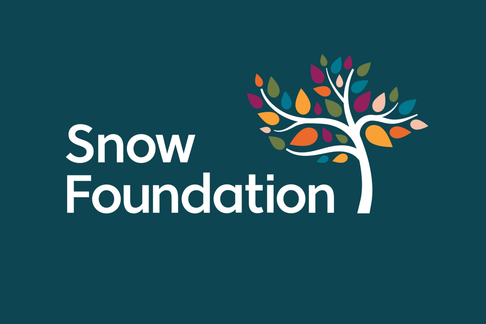 The logo for "Snow Foundation." The logo features a stylized tree with vibrant, colourful leaves in shades of pink, orange, green, and blue. The tree is placed next to the text "Snow Foundation," which is written in clean, modern white font on a deep teal background.
